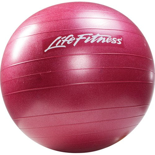 Life Fitness Stability Ball